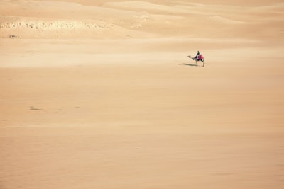 布朗人骑骆驼在沙漠
